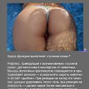 ���� ����, ������, 49 ��� - ��������� 10 ������� 2011 � ������ ����������� ����ۻ