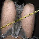 ���� �����, ���������, 39 ��� - ��������� 22 ������� 2010 � ������ ��������