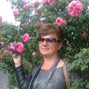 ���� �����, ���� - ��������� 4 ��� 2013 � ������ ���� ����������