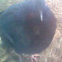 ���� ������, ���������, 41 ��� - ��������� 13 ���� 2011 � ������ ��������� �� ������