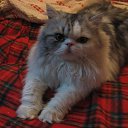 ���� �������, ������, 59 ��� - ��������� 14 ������� 2009 � ������ ���� ������� ��� ����