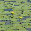 ���� ������, ������, 54 ���� - ��������� 18 ���� 2011 � ������ �������� �������