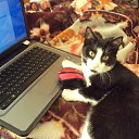 ���� ����, ����-���, 59 ��� - ��������� 8 ���� 2013 � ������ ����� ��� ������������