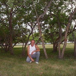 ���� ����, �����, 42 ���� - ��������� 8 ������� 2012