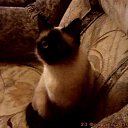 ���� ���@����@, �������, 49 ��� - ��������� 23 ������� 2010 � ������ ���� �����