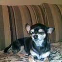 ���������)) �� ������� ���� �������)�