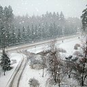 ���� ������, ��������, 58 ��� - ��������� 24 ������� 2010 � ������ ���� ������� �����
