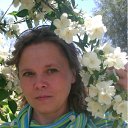 ��� ������ ������ 2010 �.