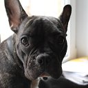 ���� �� ������� ���� ����������