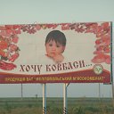 ���� Ne Golosuiu, �����������, 86 ��� - ��������� 17 ������� 2012 � ������ ���� ����������