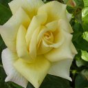 ���� ��������, ������ - ��������� 23 ������� 2010 � ������ �������