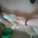 ���� �����, �����, 34 ���� - ��������� 3 ���� 2013 � ������ ���� ����������