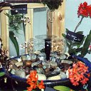 ���� ����. ��������� �� ��!, ������, 72 ���� - ��������� 13 ������ 2011 � ������ ��������