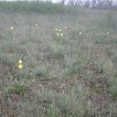 ���� ��������, ���������, 66 ��� - ��������� 21 ������ 2013 � ������ ���� ����������