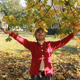 �����, ��������