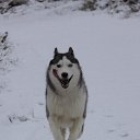 ���� �������, ����-�������, 50 ��� - ��������� 1 ��� 2013 � ������ ��������-�������