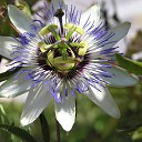 ���� ����, �������� ������ - ��������� 15 ������� 2011 � ������ ��������