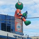  ,  -  23  2013    2013