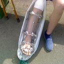 ���� ������, ������� - ��������� 23 ������� 2010 � ������ ���� ������