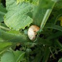 ���� �������, �������, 44 ���� - ��������� 6 ���� 2012 � ������ ��������� ����� ����.�