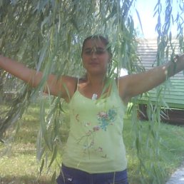 ���� �������:), ������������, 33 ���� - ��������� 12 ������� 2010