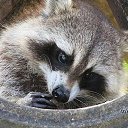 ���� ���, ������� ���� - ��������� 9 ������ 2011 � ������ �� � ��� ������� �����