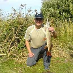 �����(������� �������� � Ѹ��������), �������-���������, 46 ���