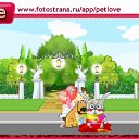  , , 36  -  2  2011   PetLove