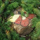 ���� ���������, ���������� - ��������� 23 ������� 2010 � ������ ���� ������