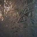 ���� �������, ��������, 54 ���� - ��������� 11 ������� 2010 � ������ ���� ����������