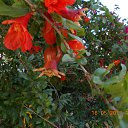 ���� ����, �����, 60 ��� - ��������� 9 ���� 2012 � ������ ��Ψ ����������� � ������ܻ