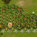 ���� �������, ����������, 36 ��� - ��������� 2 ������� 2012 � ������ �Tropikania�