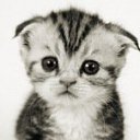 ���� ������, ������������ - ��������� 10 ������� 2011 � ������ ���� ����������