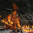 ���� ������, ������ - ��������� 24 ������ 2011 � ������ ���� ����������