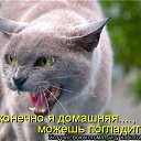   Mirror_return To River Of Flowers,  -  5  2011    