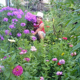 ���� ���������, ������, 47 ��� - ��������� 15 ���� 2013