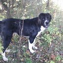 ���� ������ �����!, ������� - ��������� 4 ������� 2012 � ������ �������