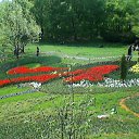 ���� ����, ���������, 47 ��� - ��������� 29 ������� 2012 � ������ �������