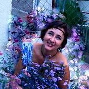 ����, 67 ���, ����