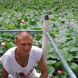 ���� �������, ��������, 49 ��� - ��������� 16 ���� 2011