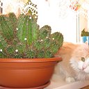 ���� Vytalii, ������ ��������, 59 ��� - ��������� 19 ��� 2010 � ������ �������!�