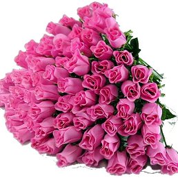  ,  , 62  -  12  2012