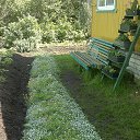 ���� ������, �����, 53 ���� - ��������� 2 ���� 2013 � ������ ���� ����������