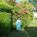 ���� �������, �����-���������, 53 ���� - ��������� 31 ��� 2010 � ������ ������� 2010�