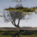 ���� Ju Kusenkova, �������, 38 ��� - ��������� 29 ������� 2010 � ������ ��������� � ��������