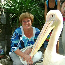 ������, ������������