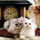 ���� Ihar., �����, 53 ���� - ��������� 18 ��� 2012 � ������ �������