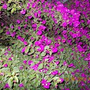 ���� ����, �����, 60 ��� - ��������� 9 ���� 2012 � ������ ��Ψ ����������� � ������ܻ