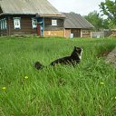 ���� K��k�, ������ ��������, 35 ��� - ��������� 3 ������� 2010 � ������ �my Cat�