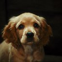 ���� "@����", �����-���������, 25 ��� - ��������� 26 ������� 2010 � ������ �Catc &amp; Docs�